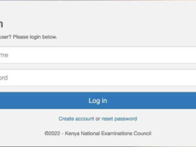KNEC CP2 Portal: A Complete Guide for Teachers and Institutions